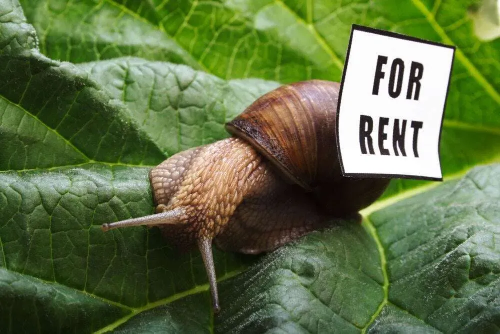 Attracting Tenants in Single-Family Housing: 5 Tips