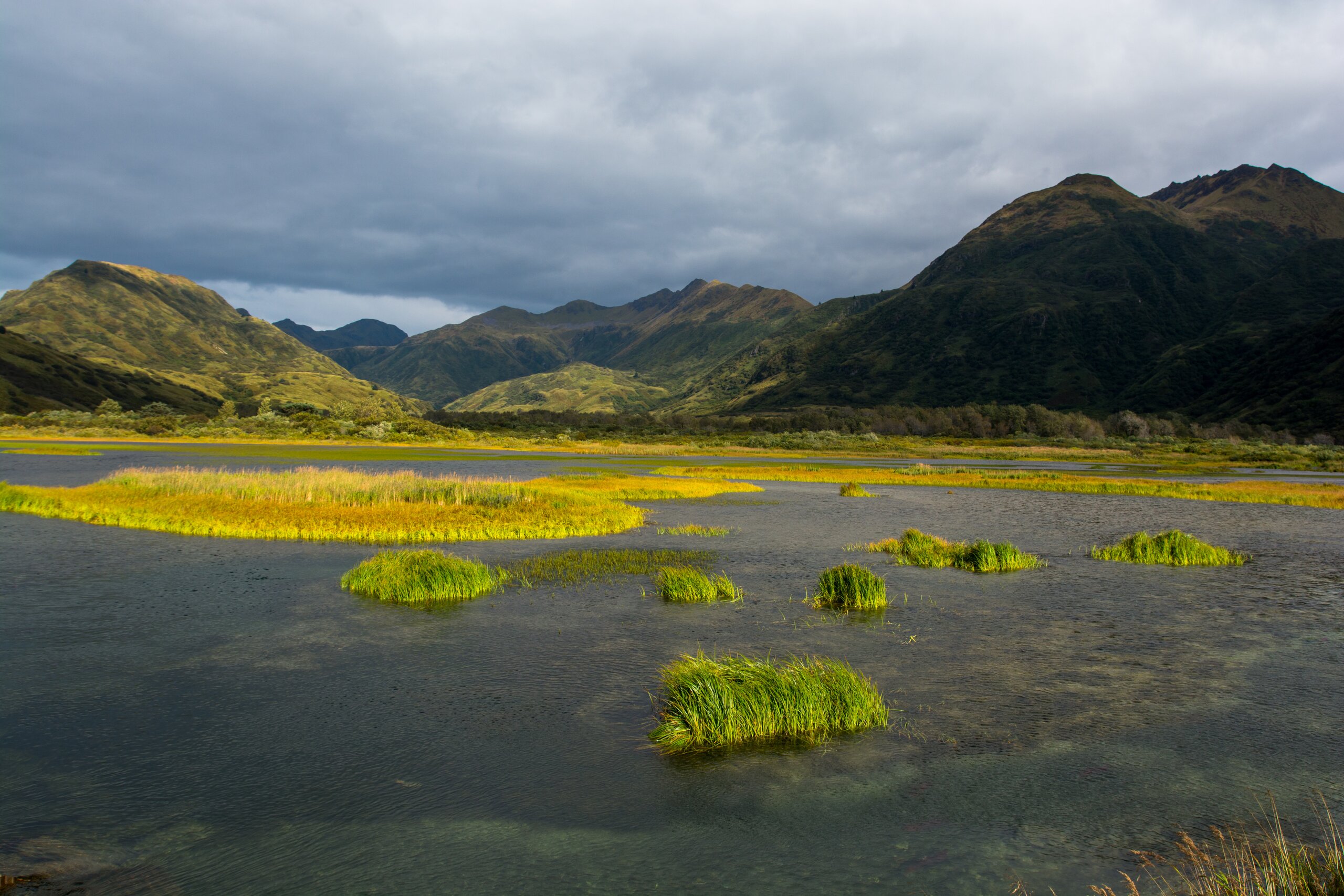 Alaskan Wetlands Mountain Valley