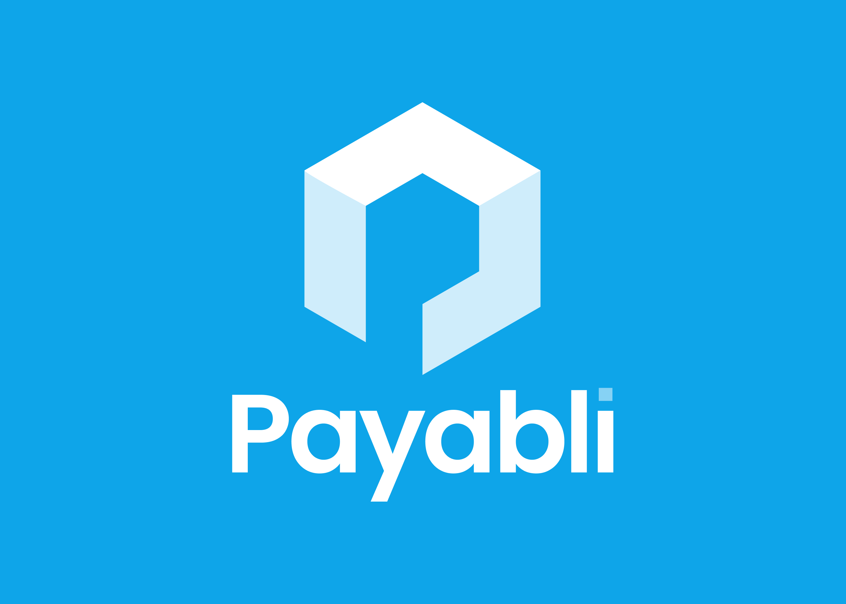 Payabli logo with a stylized white and light blue geometric shape above the white text on a blue background.